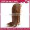 Wholesale price fast delivery by DHL full lace bace 18-24 inch indian human hair wigs