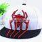 New Personalized Spider Embroidery Flat Brim Boys Hat