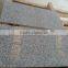 Chinese Cheapest Grey Granite Polished G654 Light Grey Granite Selling