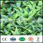 cheap indoor evergreen tree artificial grass plants decorative wall hanging
