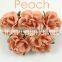 Peach,Large Handmade Mulberry Paper Flower, Wedding Party, Scrap-booking Crafts