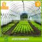 100% PP spunbond nonwoven agriculture fabric for garden /green plant /and flower use