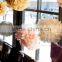 Hot Sale Cheap Hanging Colorful Paper Decorative Pom Poms