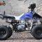 125cc ATV Quad Bike ATV Differential for Sale With CE QWMOTO
