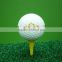 One Piece Ball Conformation hollow practice golf ball