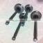 Intake/exhaust Valve for Auto Engine