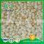 New Crop Finely Processed Garlic Cloves In Brine