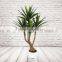 Artificial Silk Dracaena Tree, Plastic Plants