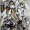 Silver Plated Semi-precious Moss Agate Pendants for Wholesale