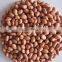 Supply High Quality Peanut kernels