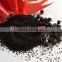 Factory Hot sale China Coal based Activated Carbon