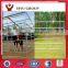 China steel livestock/yard panel/farm fencing