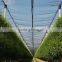 New Arrival for 2015, 50grm 100% Virgin HDPE agricultue anti hail net (20 years factory)