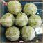 Frozen Medium Pollock Fish Ball With Seaweed