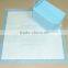 disposable eco-friendly nonwoven pet(puppy) sheet(pad)