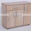 NOAHSION High Quality E1 Shoe Cabinet Or Storage Cabinet