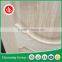 ash plywood mould veneer door skin price