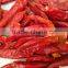 dried chili