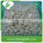 Vacuum packed fresh peeled garlic
