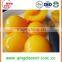 Fresh delicious canned yellow peach in can from factory with competitive price