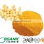 gmp&kosher halal fermentation coenzyme q10 for injection