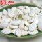 Chinese Nutritious Snow White Pumpkin Seed