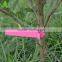 Taizhou manufacture high quality garden colorful hoop plastic plant label wholesale