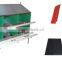 breeder chain feeding system and drinking system