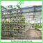Multi-span greenhouse parts