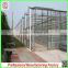 Commercial/agricultural large span glass green house for strawberry/tomatoes