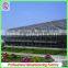Super Size SQ-8.0 Glass Greenhouses With High Transmittance