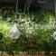 vertical garden green plants wall,hot sale artificial plant wall/green backdrop