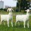 china supplier wholesale outdoor garden decoration life size resin goats sculptures