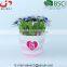Wedding Decorations Non-woven Flower Pot, Candy or Gifts Container
