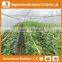 Trade Saaurance Low Cost Agricultural Greenhouse Equipment - 200 Micron uv Resistant Plastic Film for Greenhouses