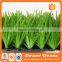 China factory outdoor Artificial Grass Carpets for Football Stadium