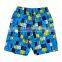 Customer Print Lattice Design Blue Kid Shorts