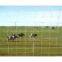 knotted wire fence-Wuxi knotted wire fence-knotted wire fence sales