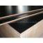 China Shandong Film Faced Plywood Factory
