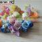 Flower Colors Small Mini Plastic shining powdeHair Claw Clips For Girls Big Brand shining powd er Cellulose Clamp Jewelry