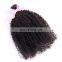 Brazilian virgin hair afro kinky hair