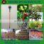 Wholesale Olive Electric Picker/jujube Shaker/ Olive Harvesting Machine