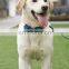 Pet Soft Dog Collar Wholesale luxury dog collar