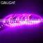 Dream color 14.4W per meter ul listed led rgb 5050 strip light