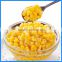 canned sweet corn with many types of packing