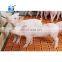 Modern pig farm equipment Pig nipple drinker