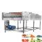 LONKIA High Pressure Water Spray Fruit Washing Machine Orange Apple Date Carrot Bubble Washer