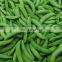 ISO and BRC Approved Factory of IQF Frozen Sweet Sugar Snap Pea