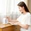 Hot Selling Mini Desktop USB Rechargeable Portable Fan with Handle Rotating for Person