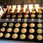 IndustrialPLC Control Cookie Moulder and Cake Filling Machine